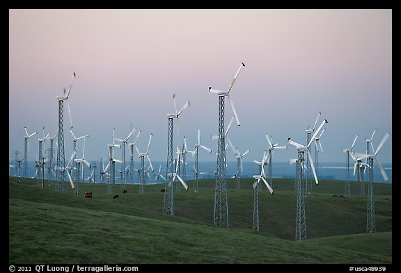 Altamont wind farm at dusk. California, USA (color)