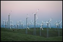 Altamont wind farm at dusk. California, USA