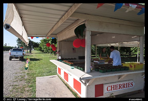 Fruit stand. California, USA (color)