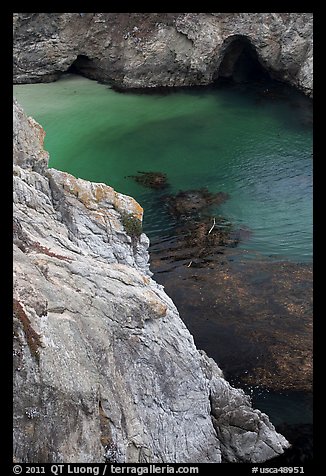 Green waters of China Cove. Point Lobos State Preserve, California, USA (color)