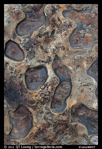 Close up of uplifted marine terrace. Point Lobos State Preserve, California, USA