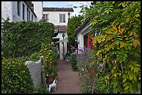 Alley. Carmel-by-the-Sea, California, USA