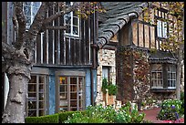 Old wooden houses used as art galleries. Carmel-by-the-Sea, California, USA (color)