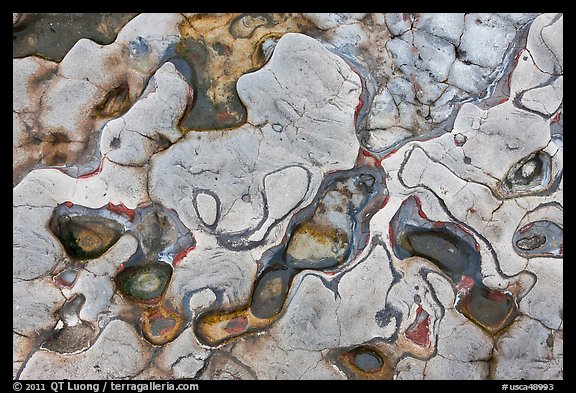 Eroded patterns in shale rocks. Point Lobos State Preserve, California, USA (color)