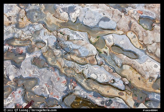 Conglomerate rock. Point Lobos State Preserve, California, USA