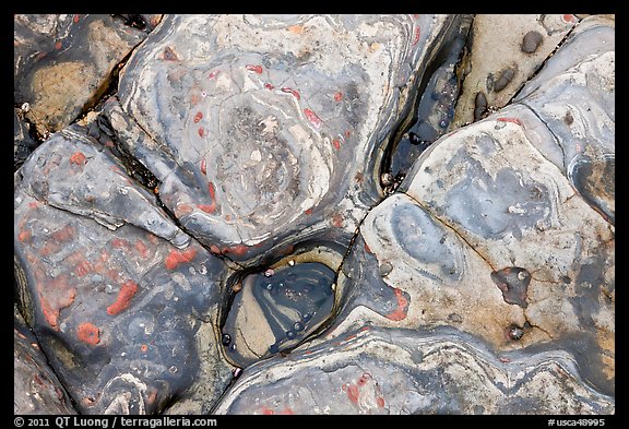 Carmelo Formation rocks. Point Lobos State Preserve, California, USA (color)