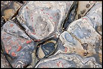 Carmelo Formation rocks. Point Lobos State Preserve, California, USA