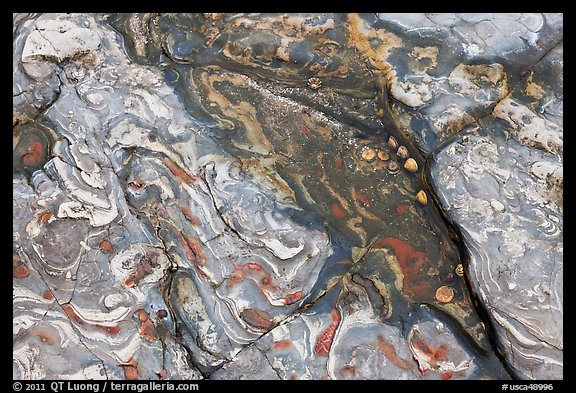 Layers of sand stone, and mudstone. Point Lobos State Preserve, California, USA (color)