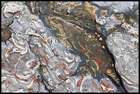 Layers of sand stone, and mudstone. Point Lobos State Preserve, California, USA (color)