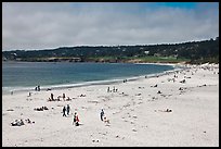 Carmel Beach in summer. Carmel-by-the-Sea, California, USA