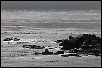 Rocks and backlit water, Carmel Bay. Carmel-by-the-Sea, California, USA