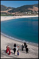 Wedding party on Carmel River Beach. Carmel-by-the-Sea, California, USA