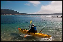 Sea kayaking into Carmel Bay. Carmel-by-the-Sea, California, USA