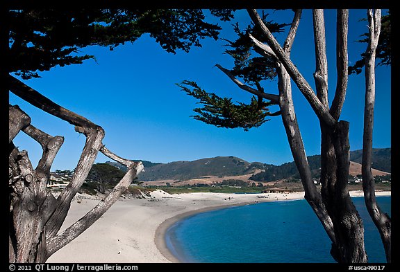 Carmel River Beach framed by Cypress trees. Carmel-by-the-Sea, California, USA