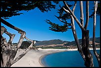 Carmel River Beach framed by Cypress trees. Carmel-by-the-Sea, California, USA (color)