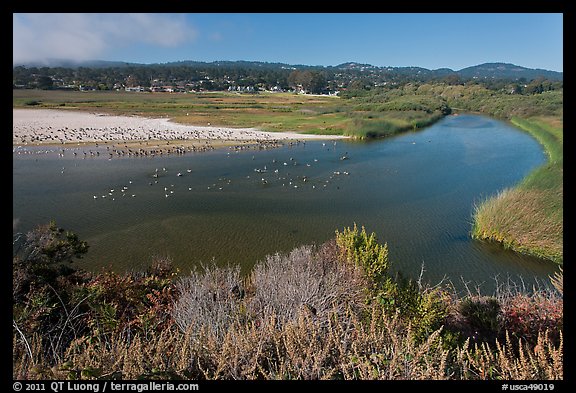 Marsh at the mouth of Carmel River. Carmel-by-the-Sea, California, USA (color)