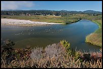 Marsh at the mouth of Carmel River. Carmel-by-the-Sea, California, USA (color)