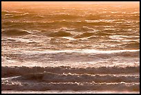 Waves at sunset. Carmel-by-the-Sea, California, USA ( color)