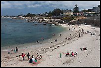 Picnic, Lover s Point Beach. Pacific Grove, California, USA ( color)