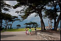 Lovers Point Park. Pacific Grove, California, USA ( color)