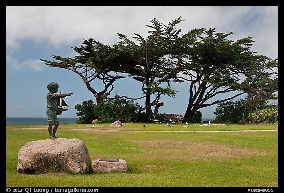Sculpture, lawn, and cypress, Lovers Point Park. Pacific Grove, California, USA (color)