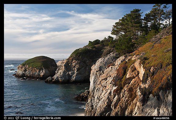 Bluff, China Cove. Point Lobos State Preserve, California, USA (color)