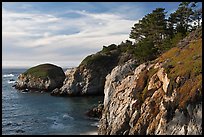 Bluff, China Cove. Point Lobos State Preserve, California, USA