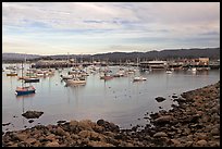 Harbor and Fishermans Wharf, late afternoon. Monterey, California, USA (color)