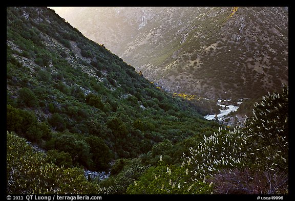 At the bottom of Kings Canyon. Giant Sequoia National Monument, Sequoia National Forest, California, USA (color)