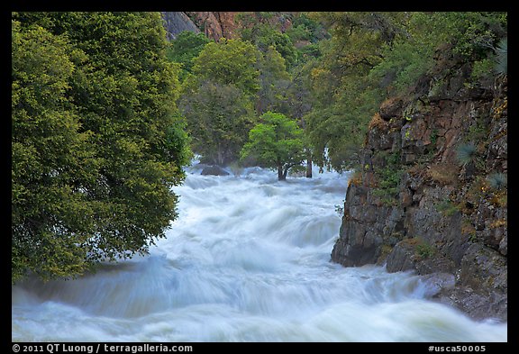 South Fork of the Kings River in spring run-off. Giant Sequoia National Monument, Sequoia National Forest, California, USA