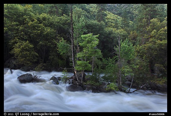 Spring along South Fork of the Kings River. Giant Sequoia National Monument, Sequoia National Forest, California, USA (color)