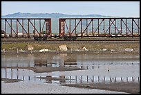 Freight train cars, Alviso. San Jose, California, USA