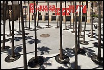 Palm trees in front of San Jose Museum of Art. San Jose, California, USA