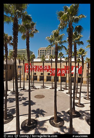 San Jose Museum of Art and palm trees. San Jose, California, USA