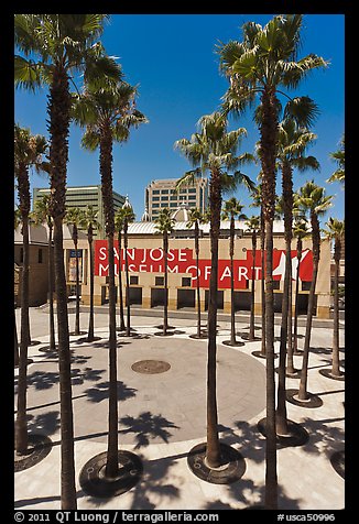 San Jose Museum of Art and palm trees. San Jose, California, USA (color)