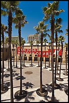 San Jose Museum of Art and palm trees. San Jose, California, USA (color)