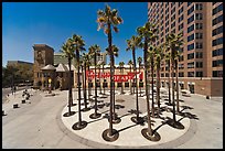 Circle of palm trees and San Jose Museum of Art. San Jose, California, USA