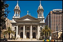 Cathedral Basilica of Saint Joseph. San Jose, California, USA (color)