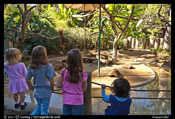 Children watching animal exhibit, Happy Hollow Zoo. San Jose, California, USA (color)