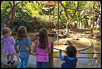 Children watching animal exhibit, Happy Hollow Zoo. San Jose, California, USA