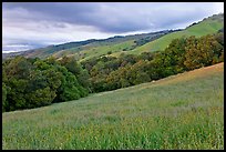 Hills in spring, Evergreen. San Jose, California, USA