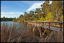 Pier and lake,  Vasona Lake County Park, Los Gatos. California, USA