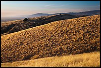 Hills, Santa Teresa County Park. California, USA