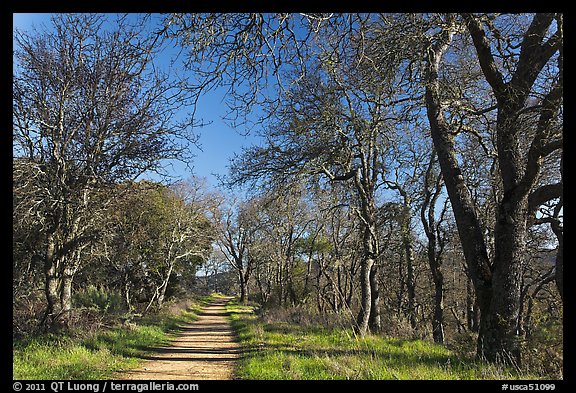 Trail, Almaden Quicksilver Park. San Jose, California, USA