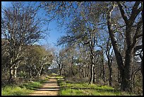 Trail, Almaden Quicksilver Park. San Jose, California, USA (color)