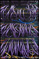 Computer server and cables. Menlo Park,  California, USA