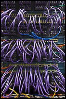 Computer server and cables. Menlo Park,  California, USA (color)