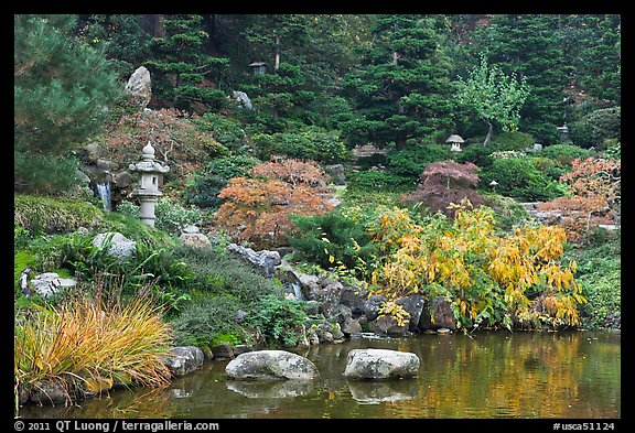 Pond and Japanese garden in autumn. Saragota,  California, USA (color)