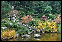 Pond and Japanese garden in autumn. Saragota,  California, USA