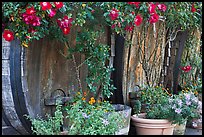 Barells and flowers, Savannah-Chanelle Vineyards, Santa Cruz Mountains. California, USA (color)